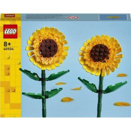 LEGO&reg; &Eta;&lambda;&iota;&omicron;&tau;&rho;ό&pi;&iota;&alpha; (40524)